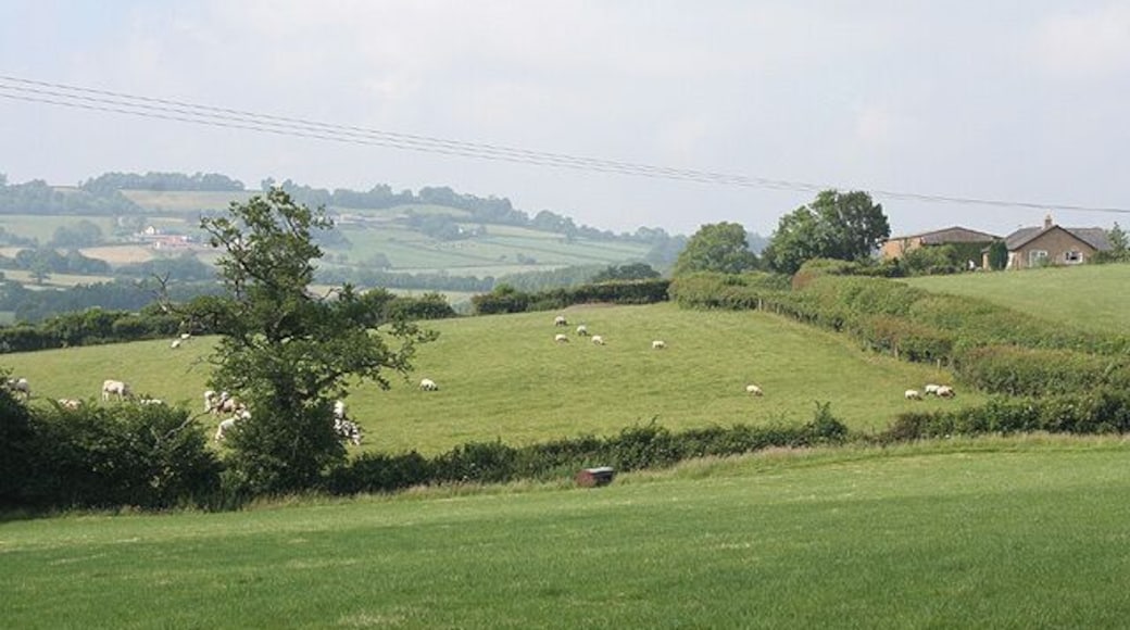 Upottery: Otter valley. Near Hayne Farm, looking north-north-west