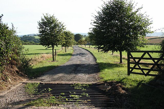 Wambrook: entrance to Deerhams Farm. Looking south west on Money Pit Lane