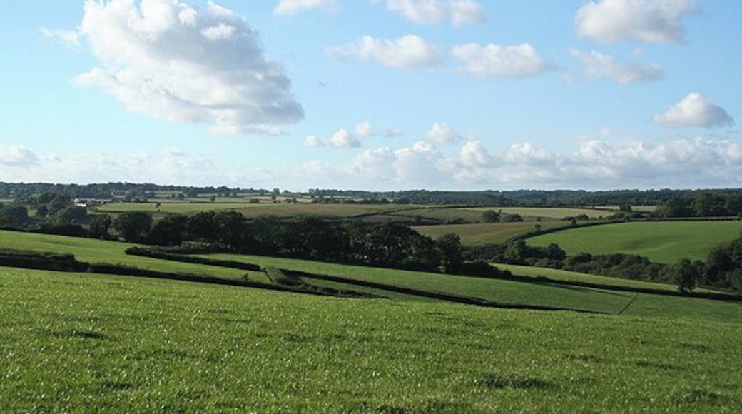 Yarcombe: towards Dennington Lane. By Dennington Lane a side valley runs down to a confluence with the Otter below Stout Mill, where water from the stream once powered a waterwheel and machinery. Looking north-north-west from the B3170 Honiton to Corfe and Taunton road