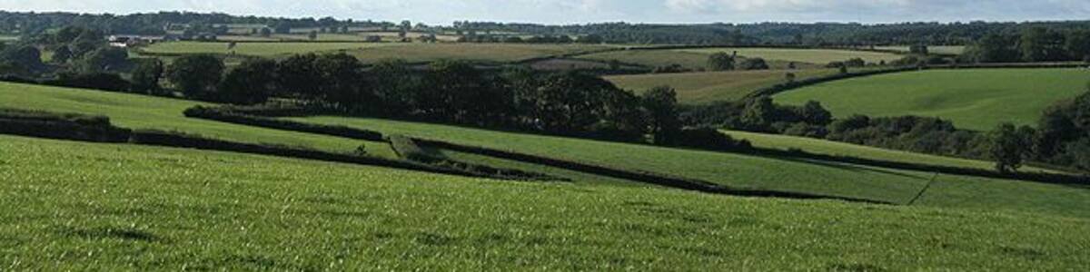 Yarcombe: towards Dennington Lane. By Dennington Lane a side valley runs down to a confluence with the Otter below Stout Mill, where water from the stream once powered a waterwheel and machinery. Looking north-north-west from the B3170 Honiton to Corfe and Taunton road