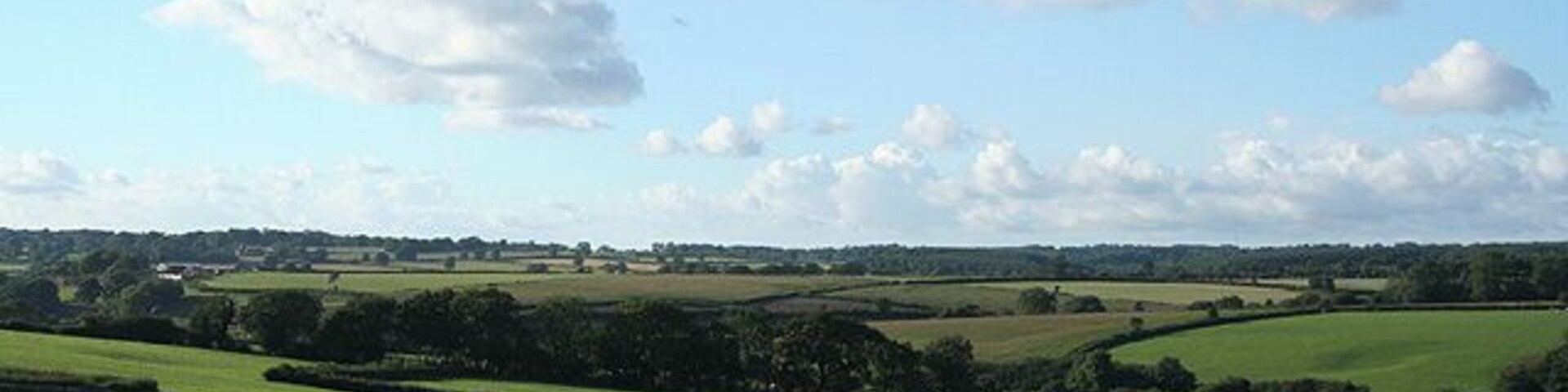 Yarcombe: towards Dennington Lane. By Dennington Lane a side valley runs down to a confluence with the Otter below Stout Mill, where water from the stream once powered a waterwheel and machinery. Looking north-north-west from the B3170 Honiton to Corfe and Taunton road
