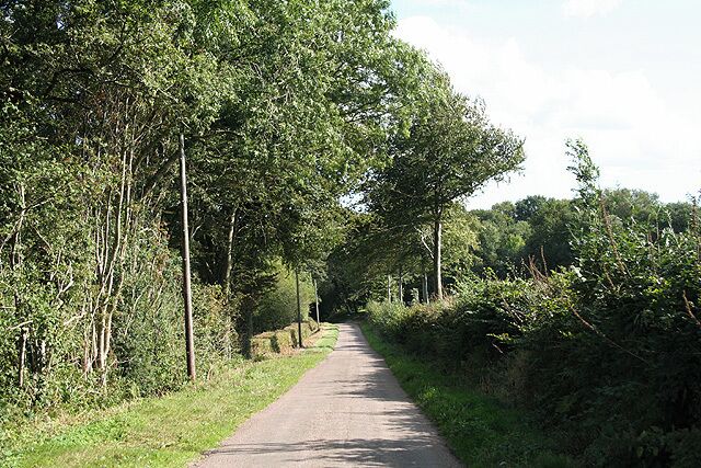 Stockland: lane near Hillgrounds. Looking south-south-east