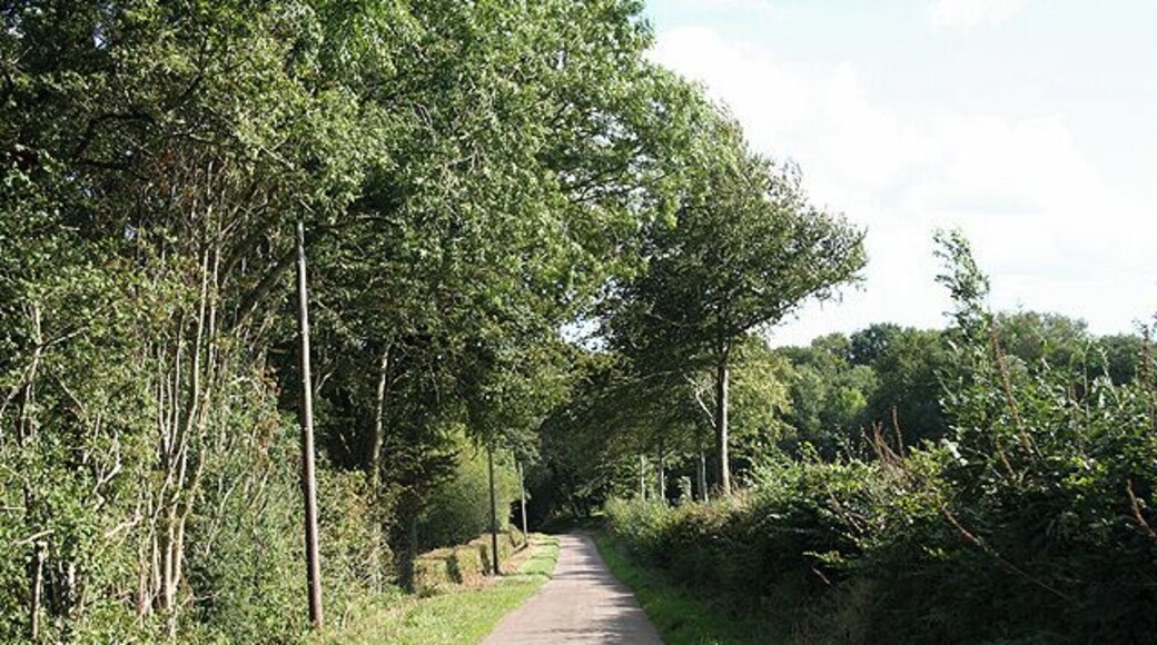 Stockland: lane near Hillgrounds. Looking south-south-east