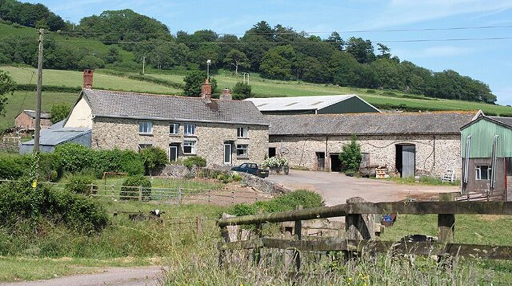 Awliscombe: Culverhayes. A Wolverstone farm. Looking east-north-east