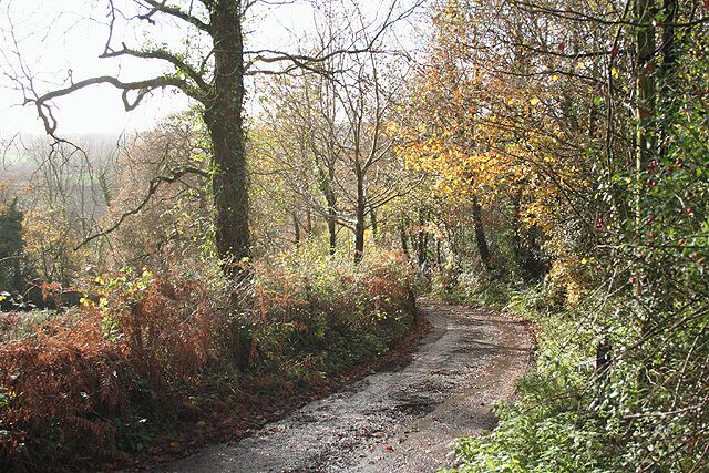 Stockland: Hayne Lane Looking south west. This narrow lane joins the A35 Trunk Road at Wilmington