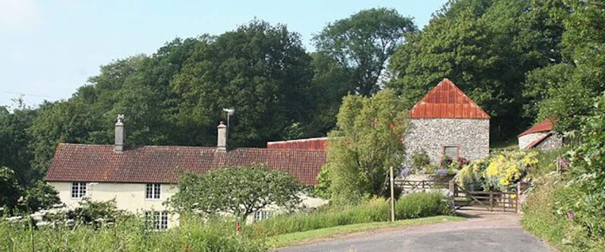 A rural road leading to a white house with a red roof, surrounded by greenery and trees.