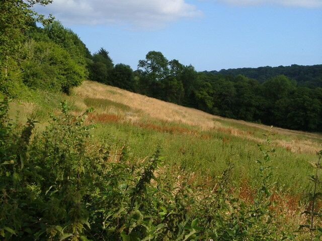 Field at Colwell. A field sloping down to the Offwell Brook from the lane between Offwell and Colwell.