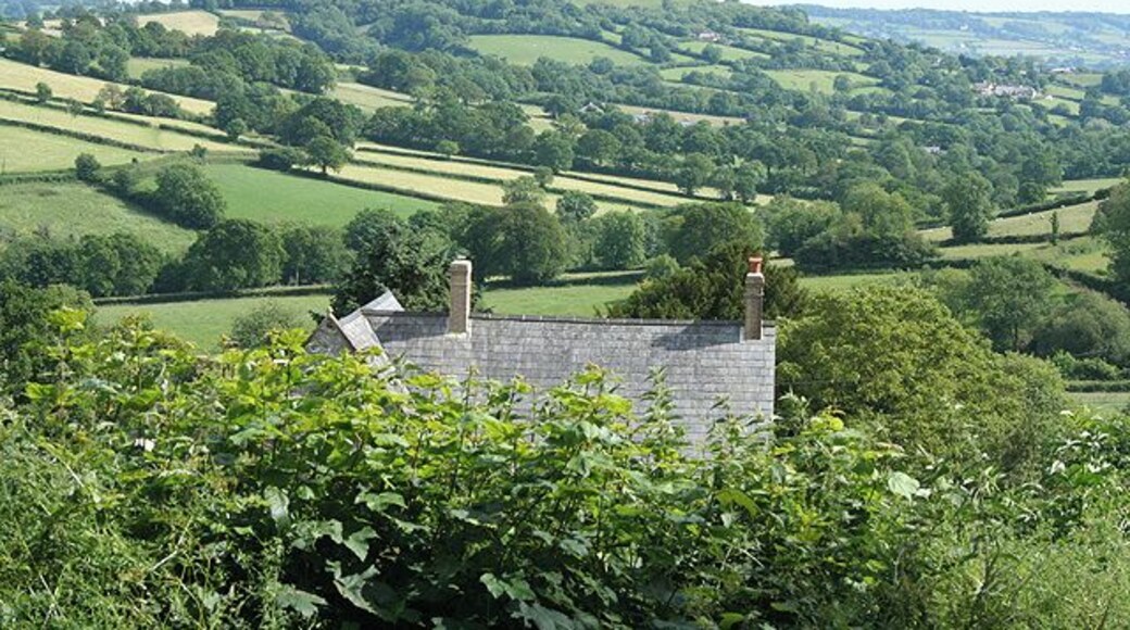 Luppitt: towards Dumpdon Hill. Looking south-south-east from a point just below Luppitt church. The iron age rampart on Dumpdon Hill is just visible beneath the clump of trees on the summit