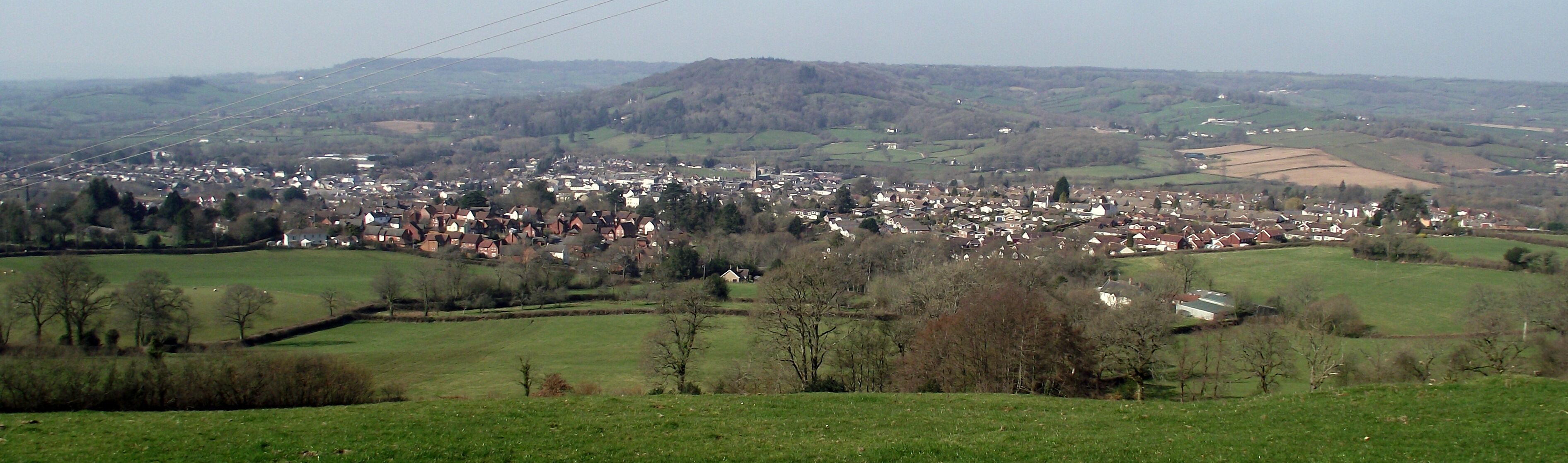 Photo of a part of Honiton town from the south.