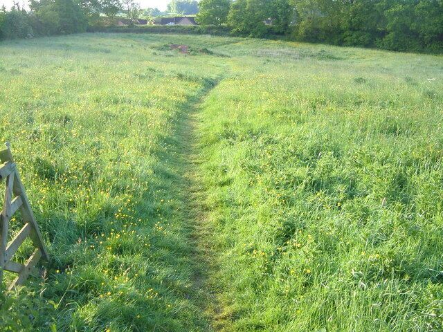 Path across field. A field at the edge of the Heath Park industrial estate outside Honiton.