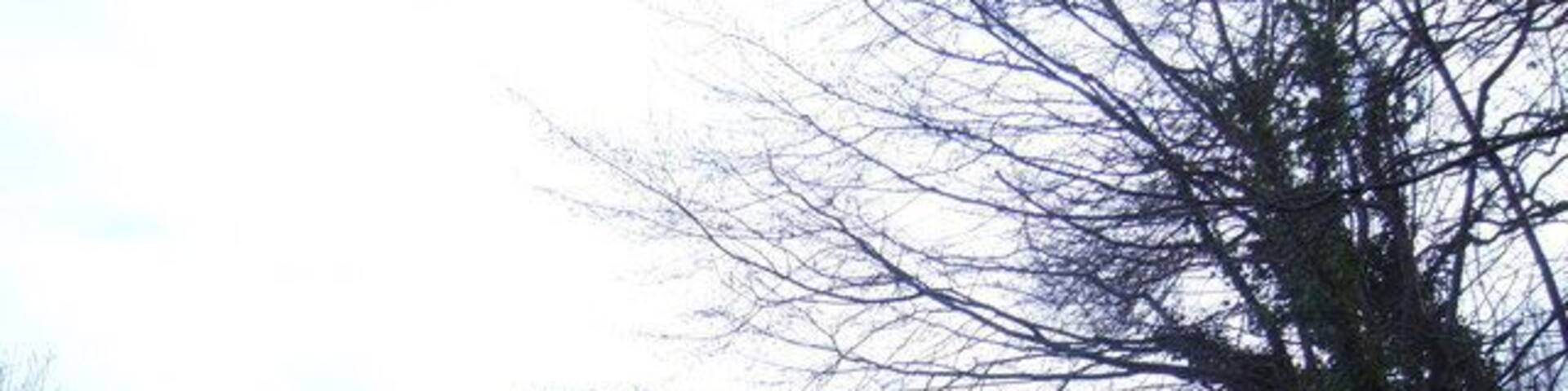 Cleave crossroads Left to Cotleigh, right to Wilmington.