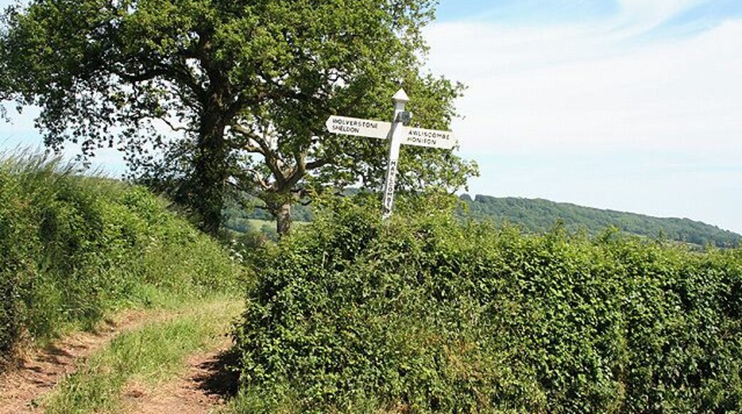 Awliscombe: Marlcombe Cross. A lane from Marlcombe meets the route from Awliscombe to Wolverstone here. Looking east-south-east