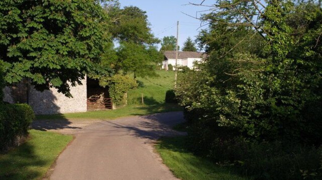 Lane at Widworthy. The lane past 443571 drops down to a bend past Widworthy Barton. In the background is Orchardleigh.