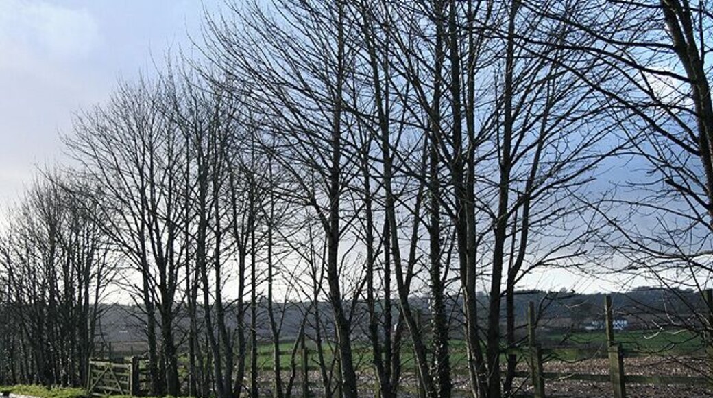 Widworthy: lane to recycling centre Looking west-south-west