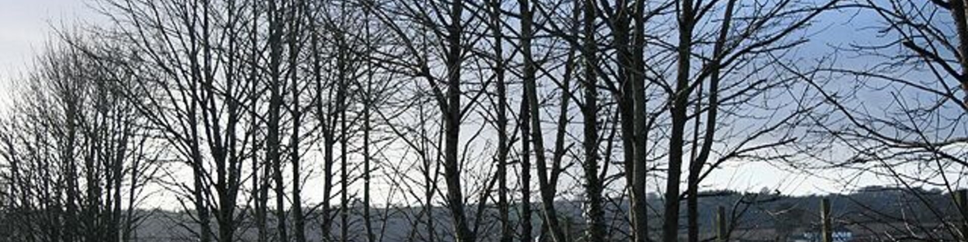 Widworthy: lane to recycling centre Looking west-south-west