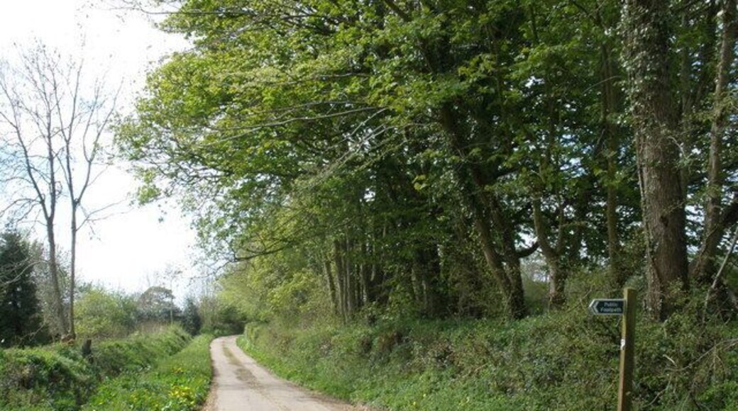 Footpath sign, near South Wood Farm