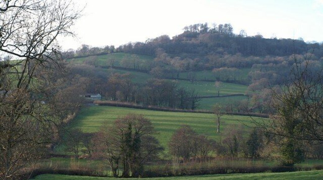 Otter valley at Monkton Seen from the A303 opposite Monkton farm shop. Beyond the river, fields climb to Dumpdon Hill, the summit of which is in ST1703.