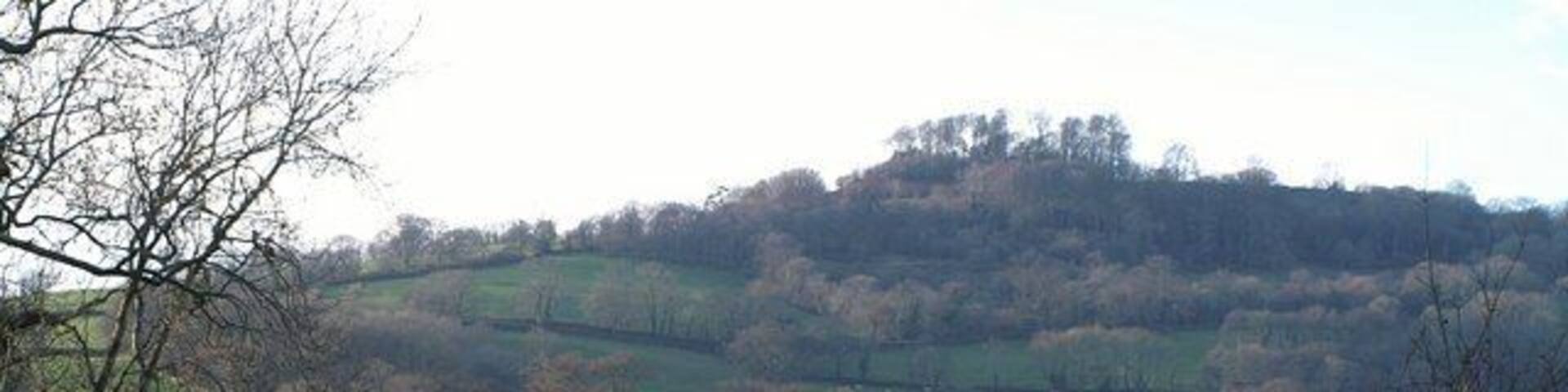 Otter valley at Monkton Seen from the A303 opposite Monkton farm shop. Beyond the river, fields climb to Dumpdon Hill, the summit of which is in ST1703.