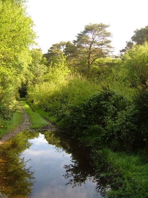 Wet bridleway on Westgate Hill. The bridleway from Chineway Head as it approaches the lane that descends to the Otter valley - one of many puddles.