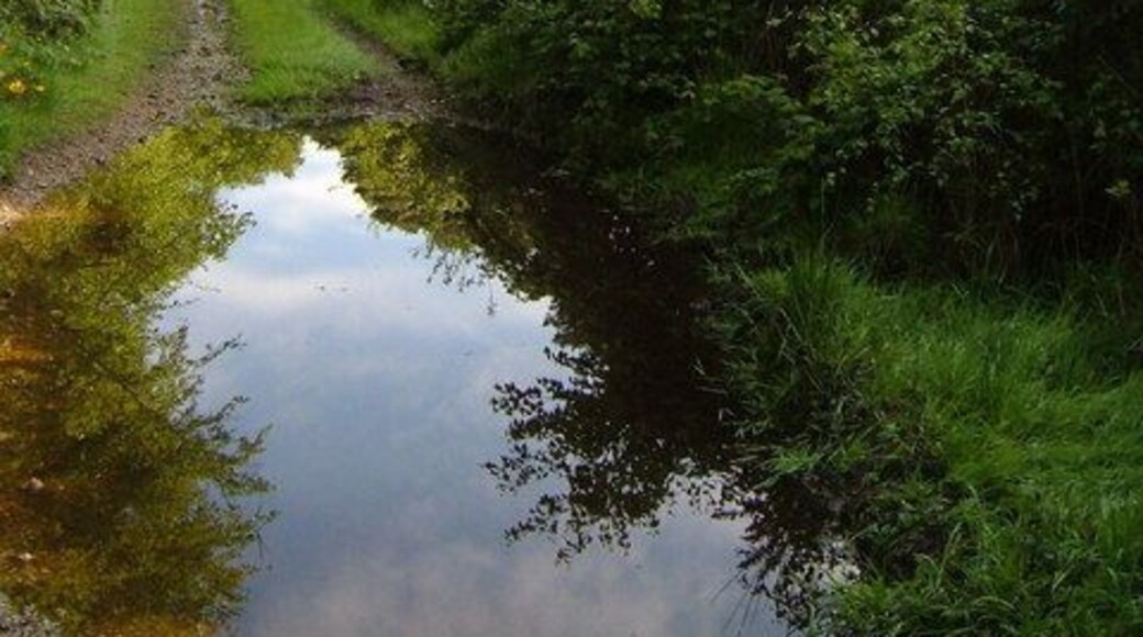 Wet bridleway on Westgate Hill. The bridleway from Chineway Head as it approaches the lane that descends to the Otter valley - one of many puddles.
