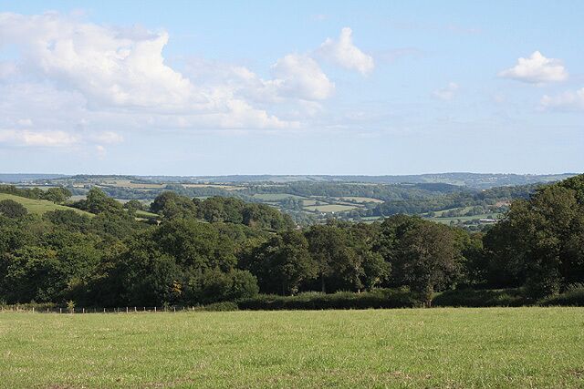 Upottery: towards the Yarty valley. Looking east-south-east near Whitwell; above Ashlands