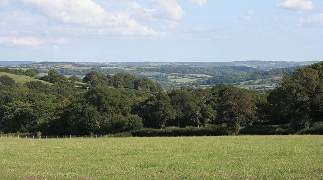 Upottery: towards the Yarty valley. Looking east-south-east near Whitwell; above Ashlands
