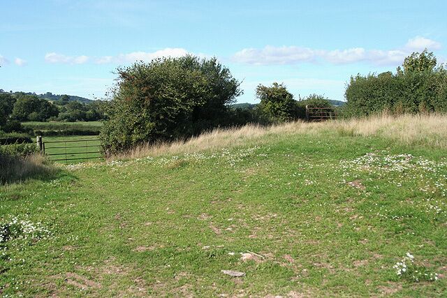 Yarcombe: by Bridge Meadow. Looking north. Beyond the gate on the right a public footpath runs along the Yarty valley to Howley