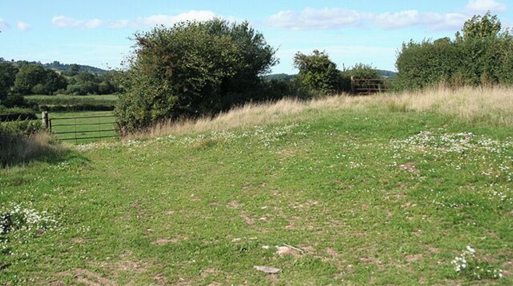 Yarcombe: by Bridge Meadow. Looking north. Beyond the gate on the right a public footpath runs along the Yarty valley to Howley
