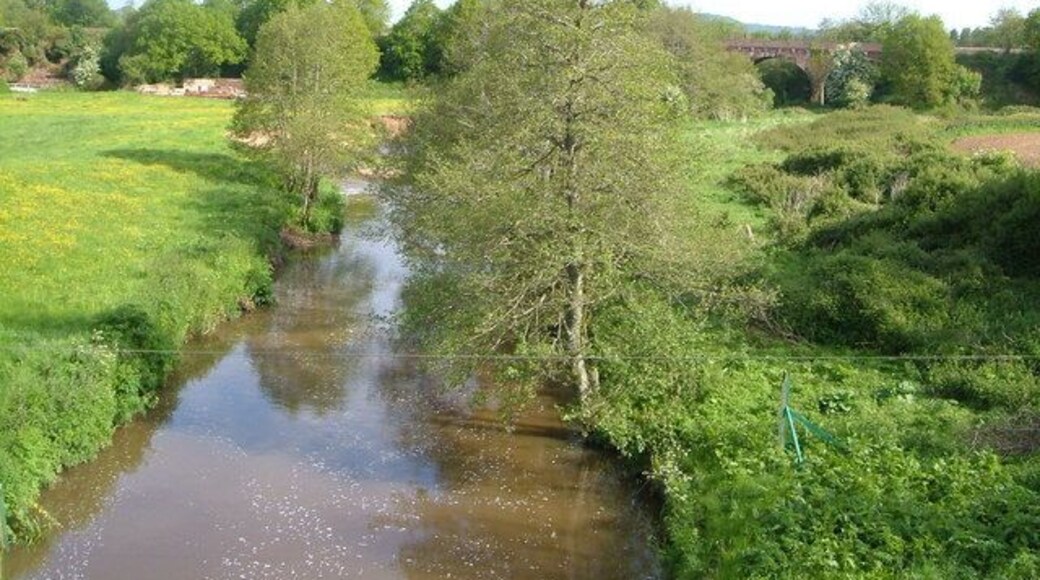 River Otter at Fenny Bridges. Looking upstream from Fenny Bridge. In the background is the Honiton-Exeter railway viaduct and bridge across the valley.