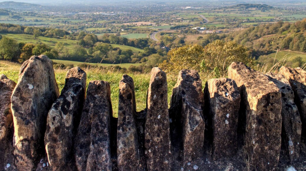 On a hillside not far outside Cheltenham, you can get some of the best views of the Cotswolds' rolling hills and lush green countryside. From Barrow Wake and Crickley Park on a clear day you can see across to the Malvern Hills, Severn Vale and right into Wales.
Read more at: http://www.ontheluce.com/2012/04/28/in-pictures-views-across-the-cotswolds/
#England #Cotswolds #viewpoint #views