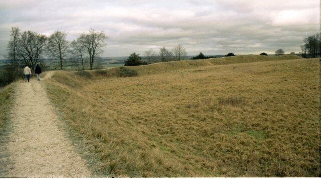 Atlas of Hillforts 3828 Danebury. Earthworks on the western side of Danebury