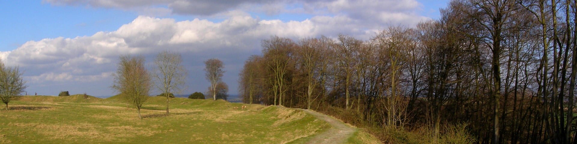 Atlas of Hillforts 3828 Danebury