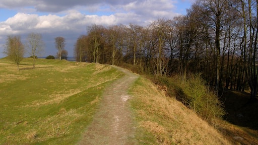 Atlas of Hillforts 3828 Danebury