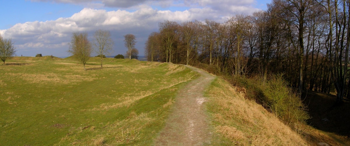 A grassy path winding through a hilly landscape with scattered trees and a partly cloudy sky.