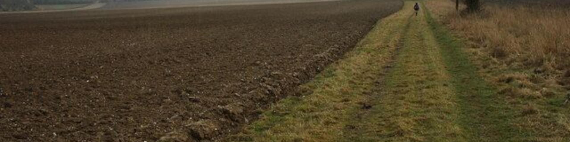 Headland footpath Footpath along the broad headland to an arable field east of Broughton.