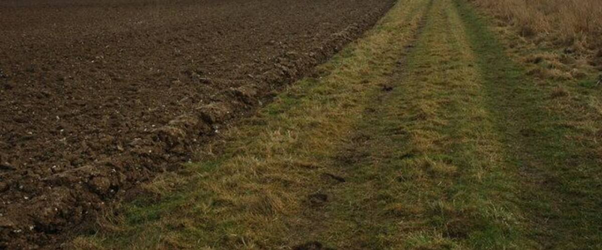 A rural landscape with a plowed field and a grassy path.