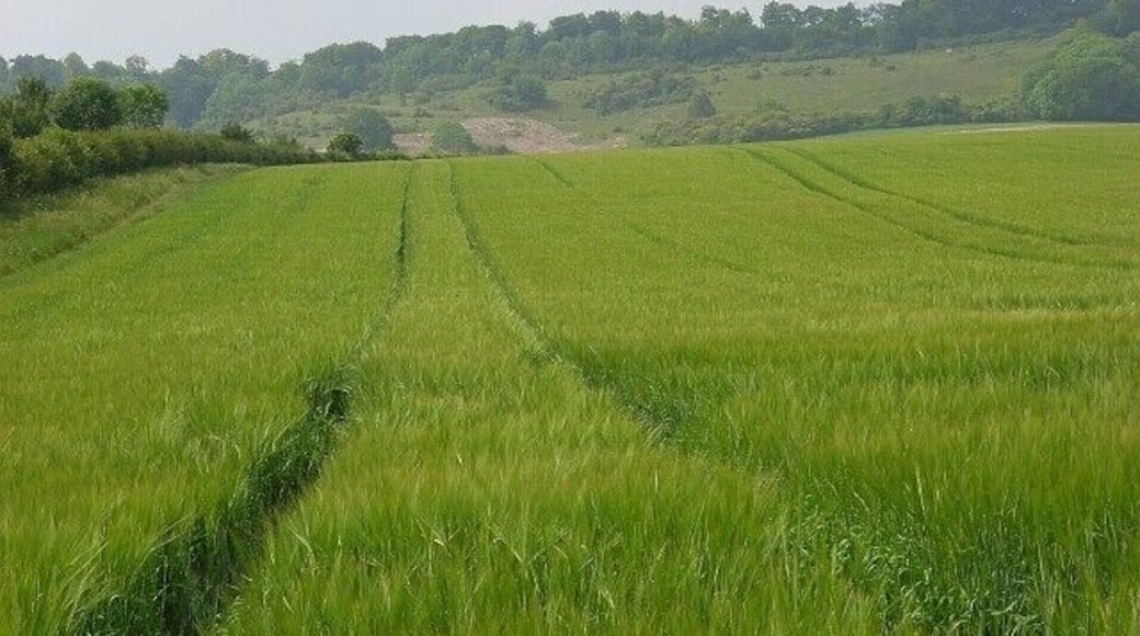 Farmland, Broughton Barley beside the bridleway near Broughton Down Farm.