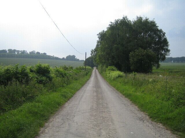 Roman road near Broughton This view looking west-north-west is near to the western end of an almost straight unclassified road 3km long that comes from near Horsebridge to the east. This is on the line of the Roman road, a Scheduled Ancient Monument, from Winchester (then Venta Belgarum), to Old Sarum (then Sorviodunum), the original site of Salisbury, a distance of 21.5 miles. The Roman road crossed the river Test at Horsebridge about 4km to the east, and there is believed to have been a posting station, Brige, near Buckholt Farm about 2.5km to the west. A posting station was a small town on a main road, where travelling officials could find an inn (mansio).