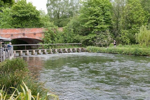 River Test south of A3057 road bridge. Seen from terrace of The Mayfly pub. This is the reciprocal of 265082 The fly fisherman hooked a fish but lost it due to over eager reeling in. I meanwhile was tucking into a salmon fillet and a pint of cider.