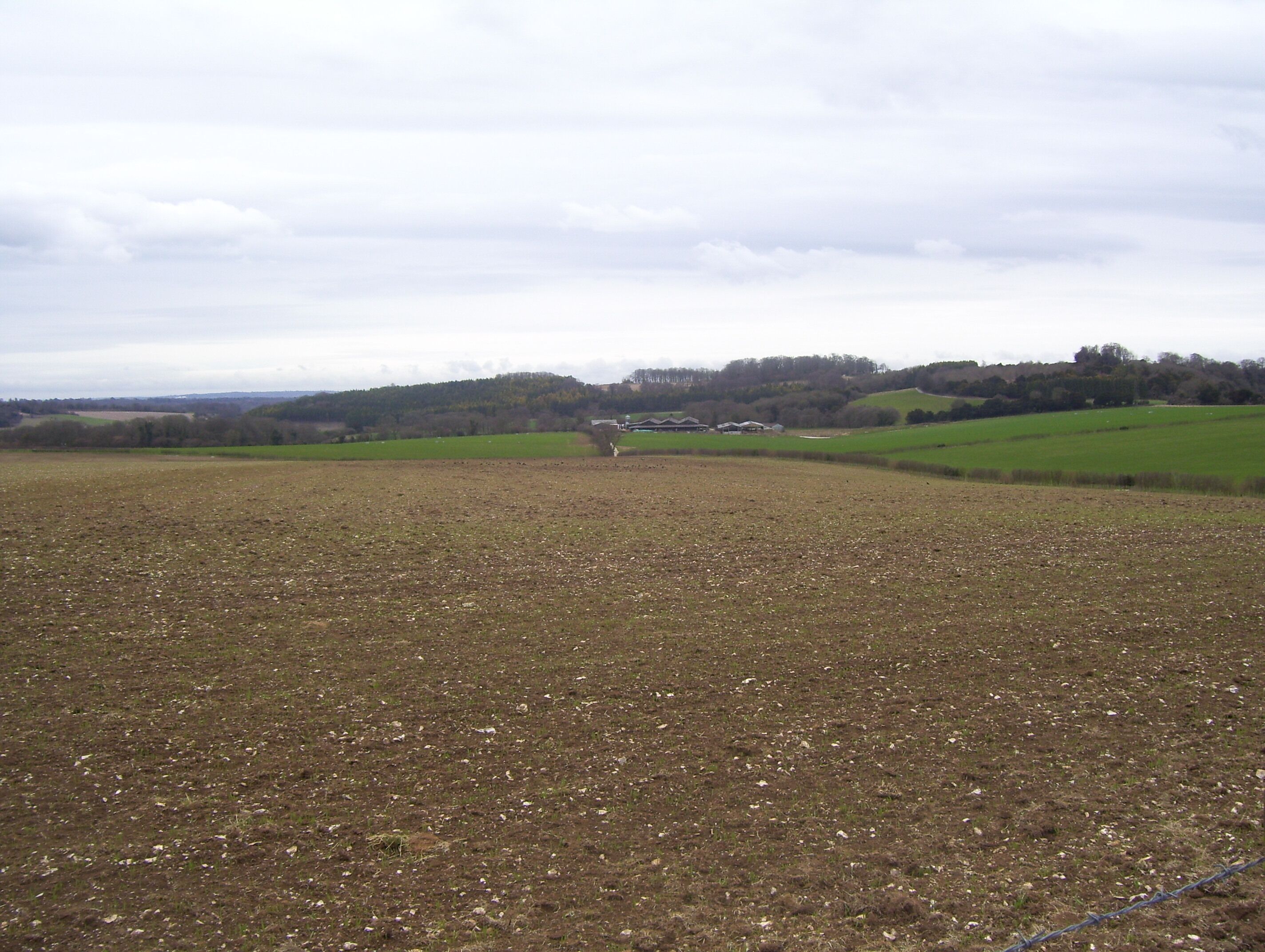 View across Pitt Down towards South Lynch