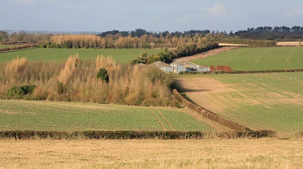 Barn related to Hoopers Farm. Looking N from Yew Hill. Hoopers Farm itself is off picture left but I cannot get a good view of it.