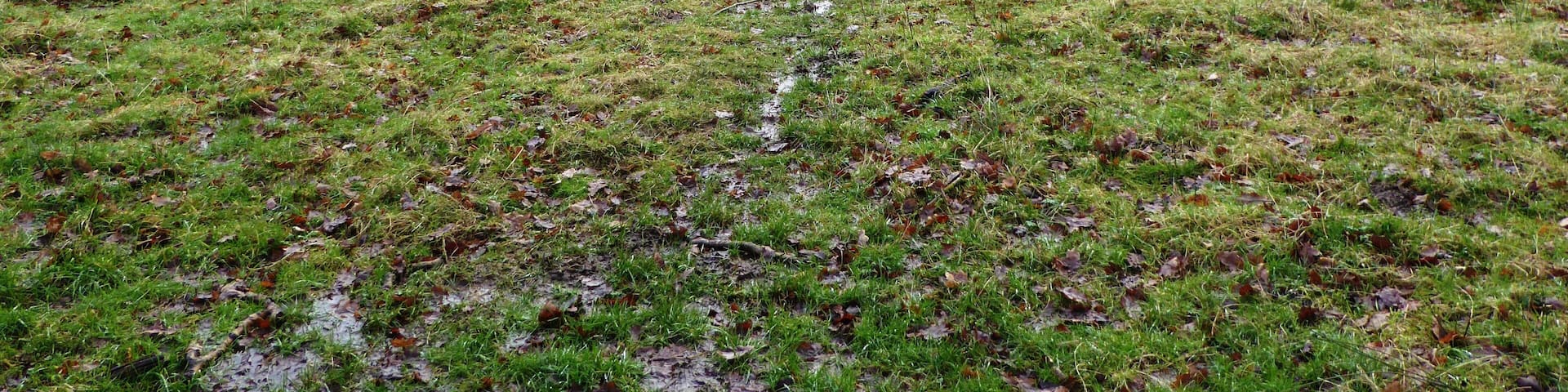 Lea Meadows is a nature reserve east of Markfield in Leicestershire. It is part of the Ulverscroft Valley Site of Special Scientific Interest, and is managed by the Leicestershire and Rutland Wildlife Trust.