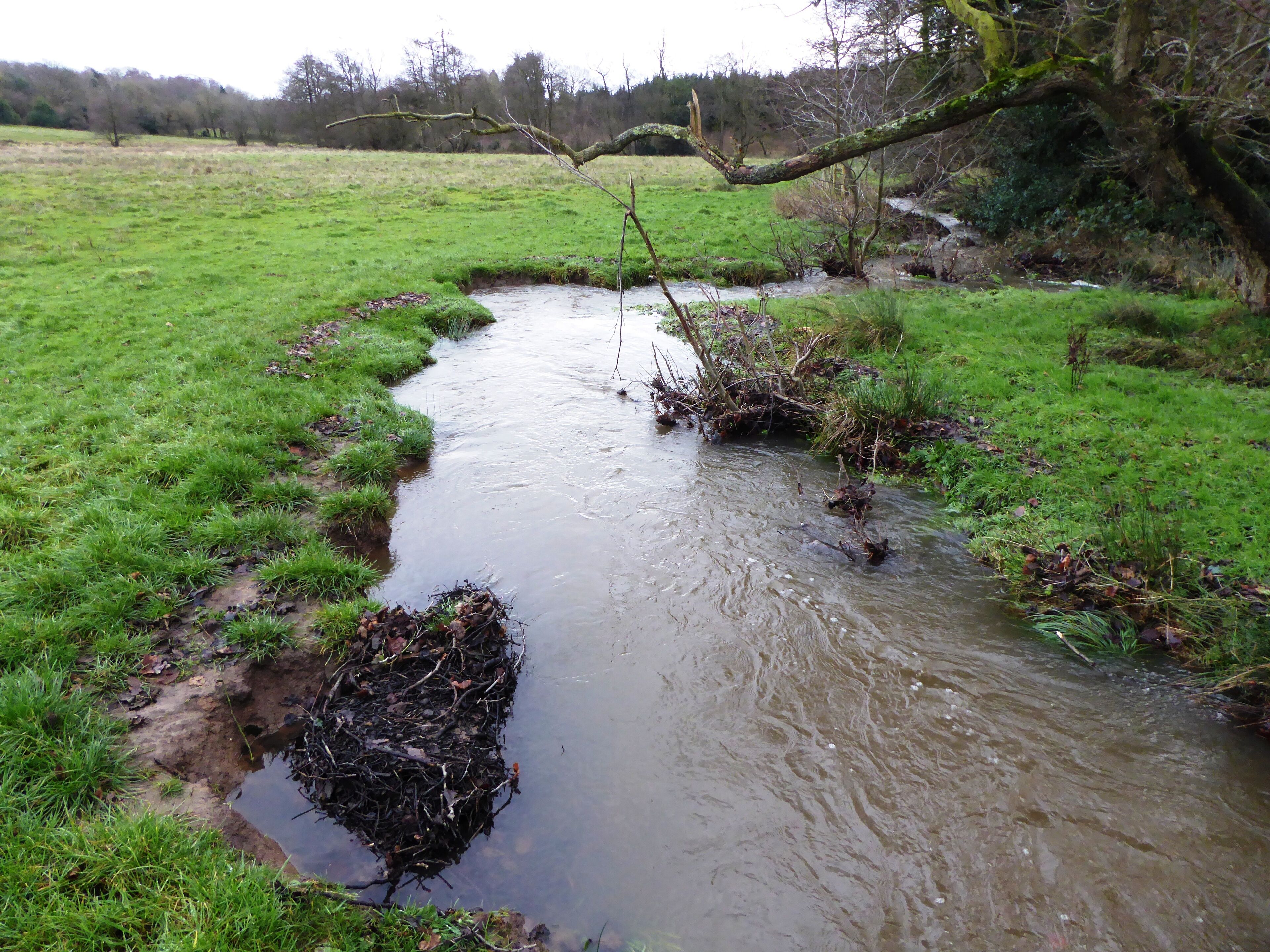 Lea Meadows is a nature reserve east of Markfield in Leicestershire. It is part of the Ulverscroft Valley Site of Special Scientific Interest, and is managed by the Leicestershire and Rutland Wildlife Trust.