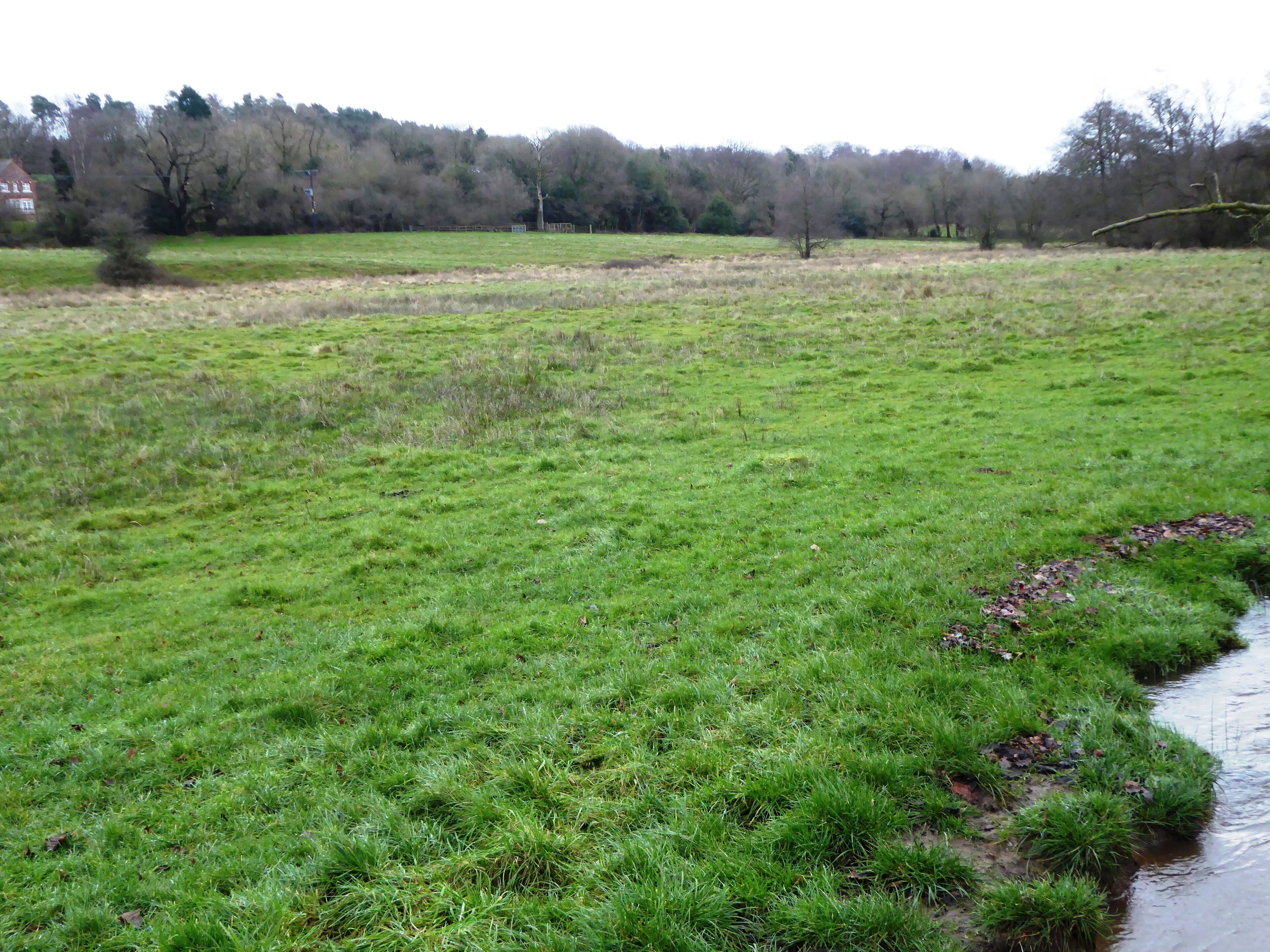 Lea Meadows is a nature reserve east of Markfield in Leicestershire. It is part of the Ulverscroft Valley Site of Special Scientific Interest, and is managed by the Leicestershire and Rutland Wildlife Trust.