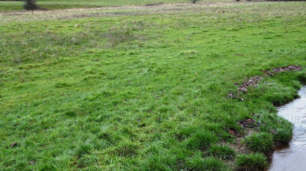 Lea Meadows is a nature reserve east of Markfield in Leicestershire. It is part of the Ulverscroft Valley Site of Special Scientific Interest, and is managed by the Leicestershire and Rutland Wildlife Trust.