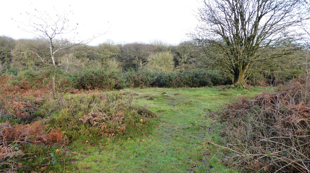 Ulverscroft Nature Reserve is north of Markfield in Leicestershire. It is part of the Ulverscroft Valley Site of Special Scientific Interest, and is managed by the Leicestershire and Rutland Wildlife Trust.