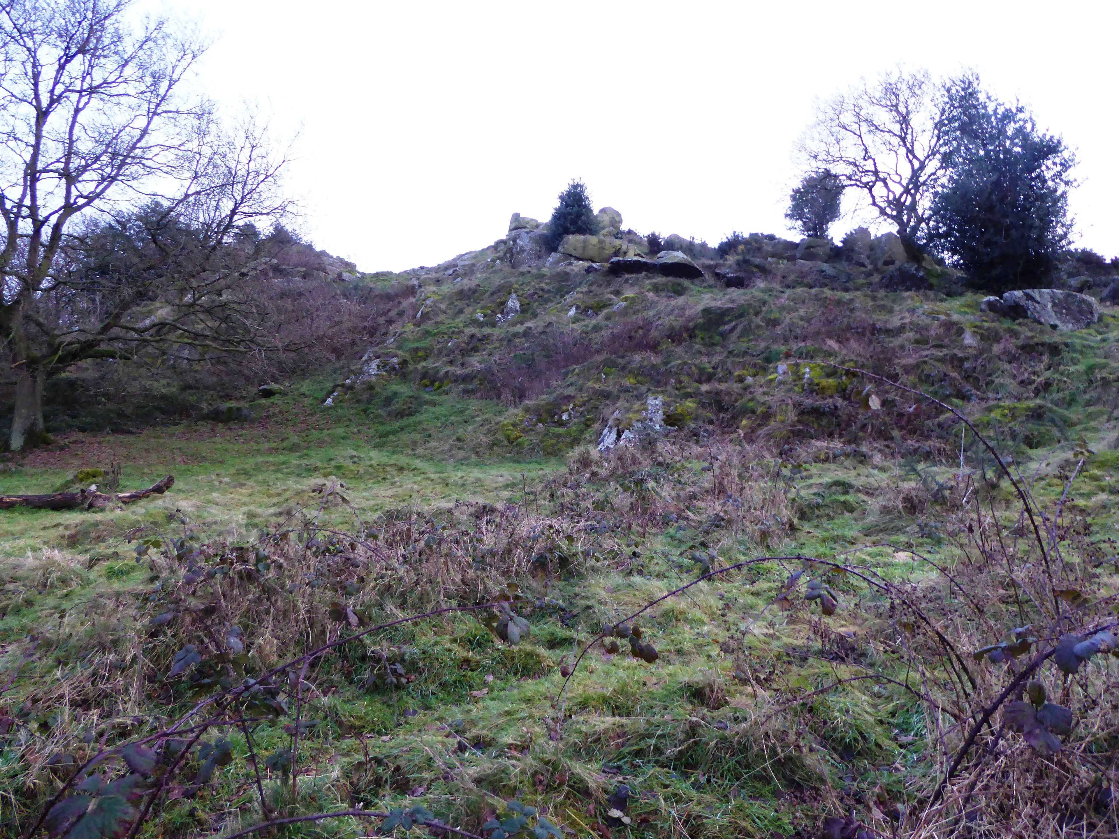 Altar Stones is a nature reserve on the northern outskirts of Markfield in Leicestershire. It is managed by the Leicestershire and Rutland Wildlife Trust.