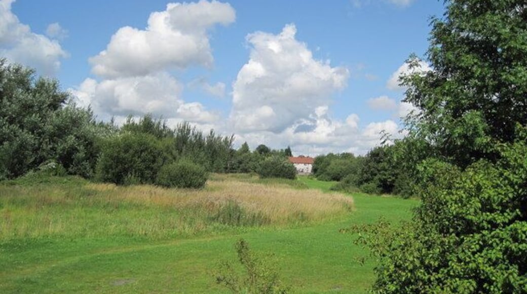 Meadows, Stadt Moers Park l