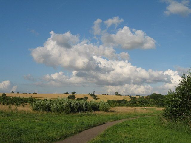 Blundell's Hill Looking towards Blundell's Hill from near Cumber Lane access gate, a local green space popular with dog walkers and joggers. Note the lone pine tree at the highest point, it is actually a mobile phone mast.