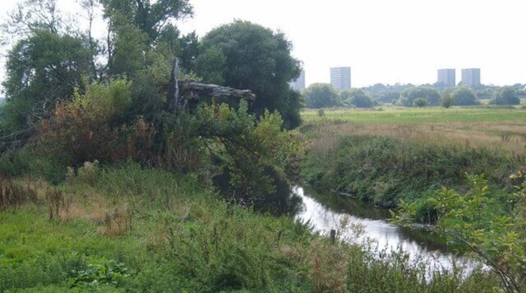 River scene. Photograph taken off Coleshill Hall Bridge, the tower blocks in the distance are on Chelmsley Wood.